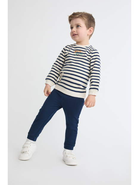 Chandal Koala bicolor